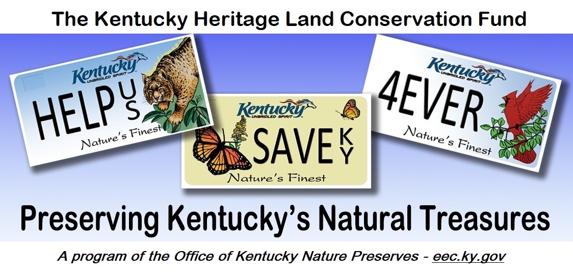 Kentucky Nature License Plates